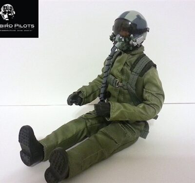 1/5-1/6 Modern Jet Pilot 12"